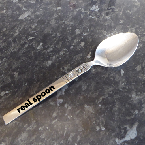 realistic spoon